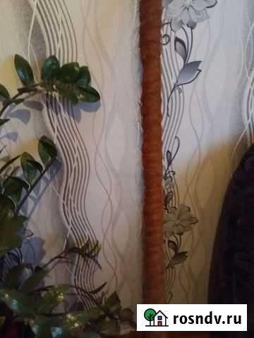 Опора для больших цветов Октябрьский - изображение 1