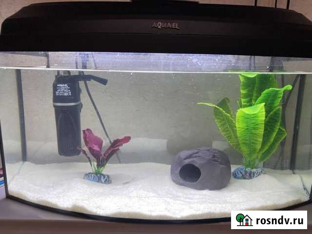 Аквариум с украшениями и песком 50 литров Благовещенск - изображение 1