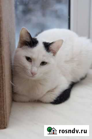 Нежная Нюша Уфа - изображение 1