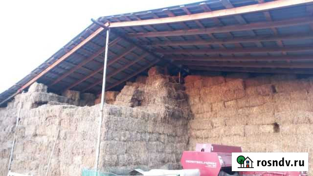 Солома пшеничная и сено (разнотравье) с доставкой Екатериноградская - изображение 1