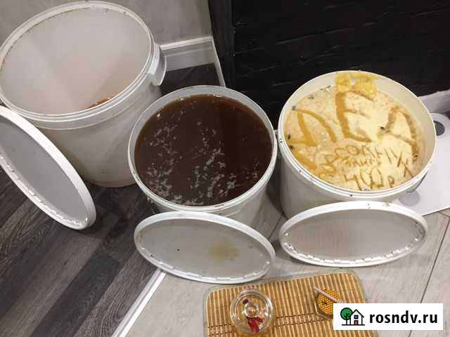 Мед натуральный вкусный полезный Батайск - изображение 1