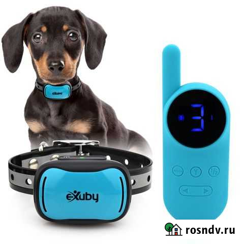 Электронный ошейник, антилай, GPS для собак Усть-Илимск - изображение 1
