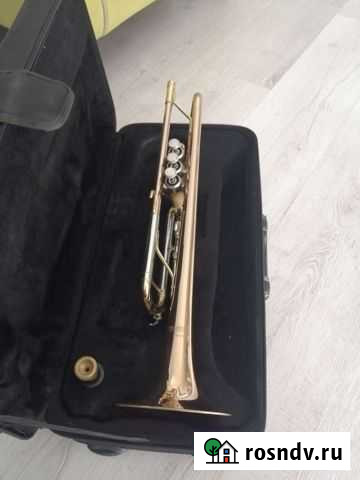 Труба музыкальная wisemann DTR-400 Волгоград - изображение 1