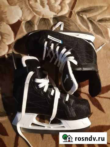 Коньки Дубовка - изображение 1