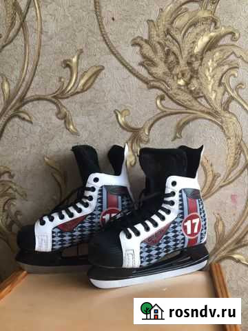 Коньки Ершов - изображение 1