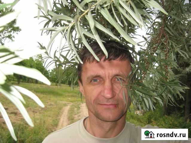 Пишу стихотворения, частушки и куплеты Череповец - изображение 1