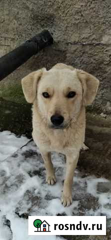 Ищем дом Бугульма - изображение 1