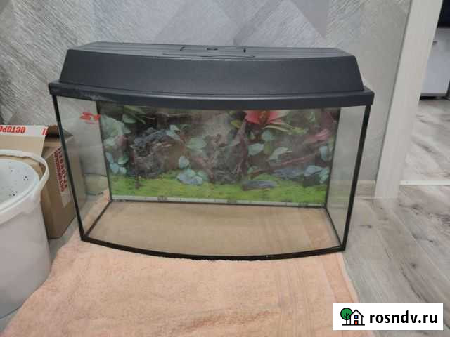 Аквариум Киржач - изображение 1