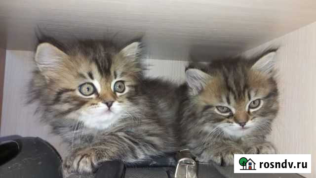 Релаксация для вас и детей Барнаул - изображение 1