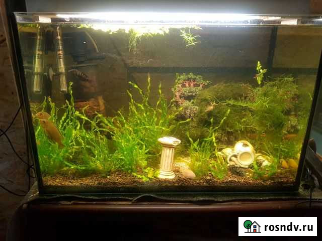 Аквариум 120 литров без ребер, с оборудованием Щёлково - изображение 1