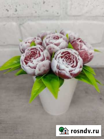 Букет пионов для учителя Серпухов - изображение 1