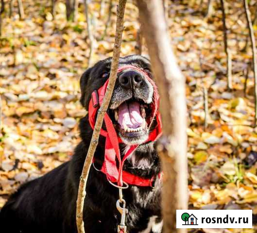 Фотограф Пермь - изображение 1