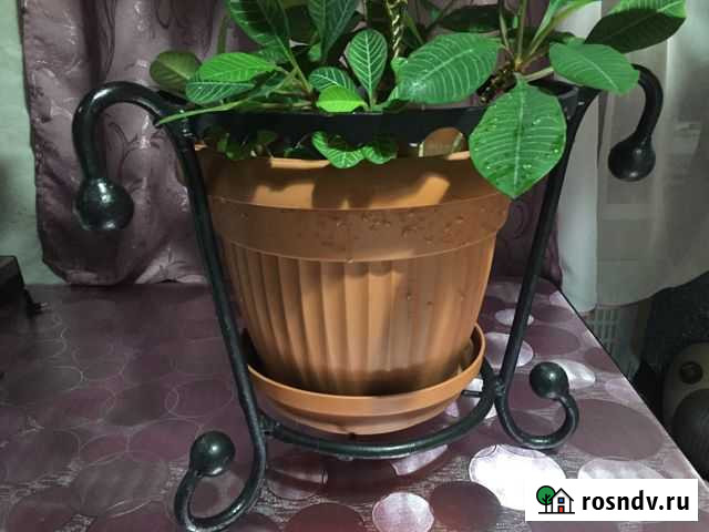 Кованая напольная подставка для крупного растения Светлый - изображение 1