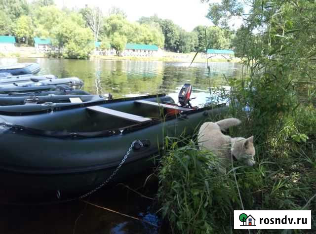 Продам пвх лодку Stingray 420AL, с мотором Мытищи - изображение 1