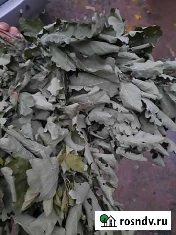 Веники берёзовые для бани Ярцево - изображение 1