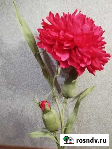 Ростовой цветок Саранск - изображение 1