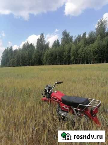 Орион Грифон 125А Кольчугино - изображение 1