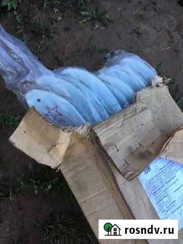 Лыжи Мга - изображение 1