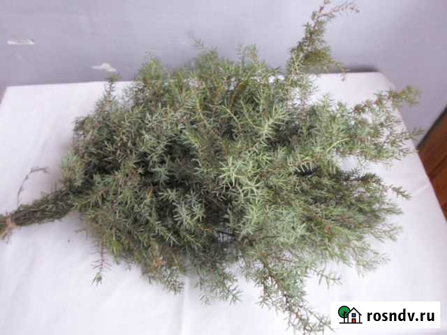 Веник можжевеловый Елец - изображение 1