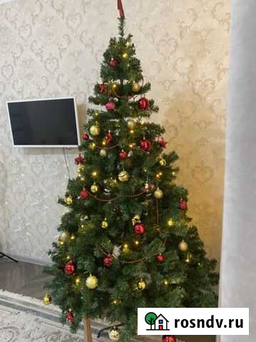 Елка искусственная 180 арт.93801654 Астрахань - изображение 1