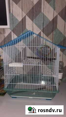 Попугайчик с клеткой Краснодар - изображение 1