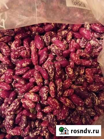 Фасоль Барнаул - изображение 1