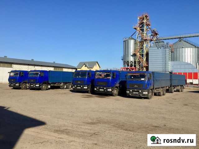 Водитель категории Е Лиски - изображение 1