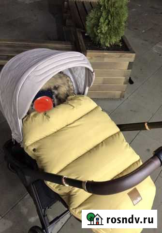 Конверт в коляску Elodie Владикавказ - изображение 1