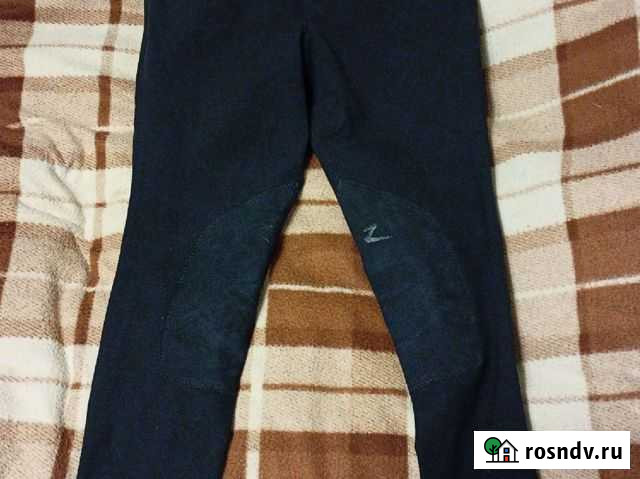 Бриджи для верховой езды Курск - изображение 1