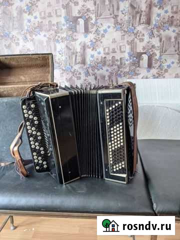 Баян Саратов - изображение 1