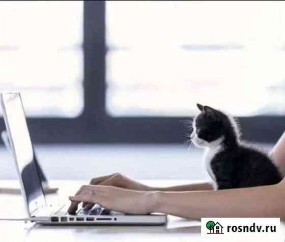 Удаленная Работа/Оператор чатов (Без опыта) Москва