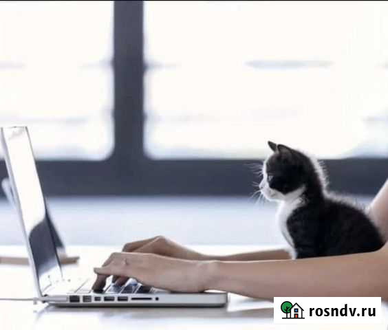 Удаленная Работа/Оператор чатов (Без опыта) Москва - изображение 1