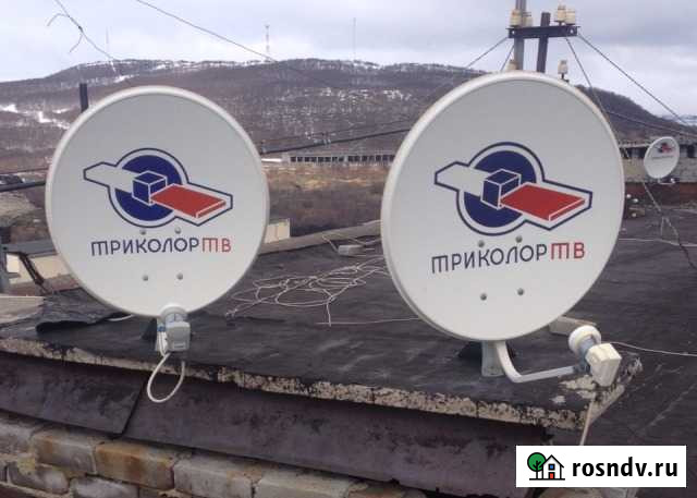 Триколор спутниковое телевидение Заполярный - изображение 1