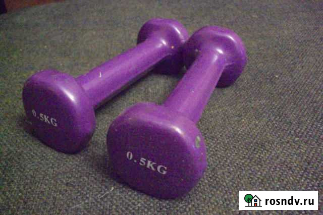 Гантели в виниловой оболочке 0,5 кг Сараи - изображение 1
