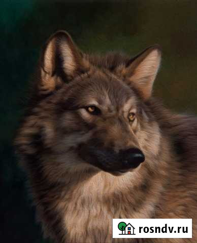 Для домашнего музея Рязань - изображение 1