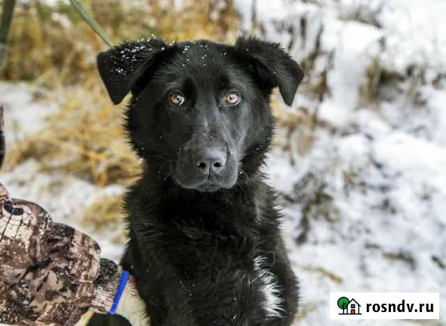Ричард, 1 год Наро-Фоминск - изображение 1