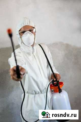 Дезинсекция тараканы клопы Нижнекамск - изображение 1