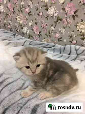 Шотландская Кострома