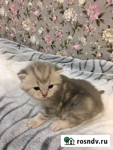 Шотландская Кострома - изображение 1