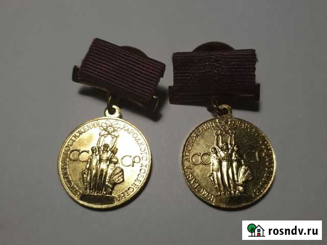 Медаль за успехи в народном хозяйстве Кингисепп - изображение 1