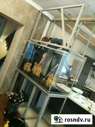 Обослуживание вашего аквариума Курск - изображение 1