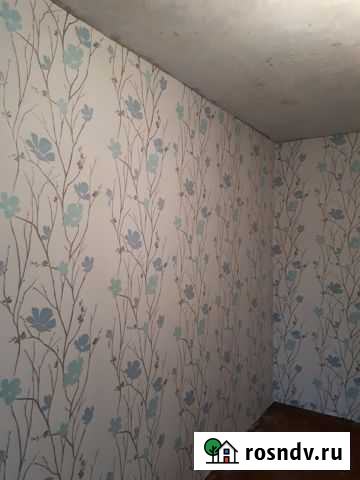 Женщины сделают ремонт Кострома - изображение 1