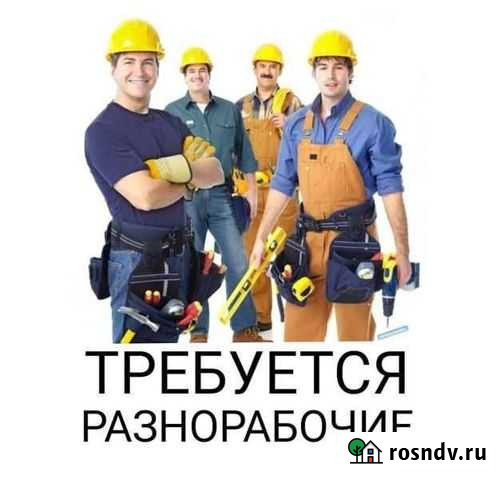 Разнорабочий Скопин - изображение 1