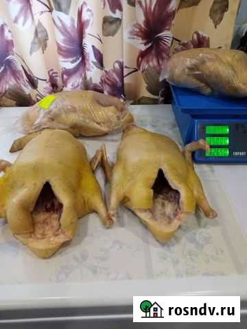 Продукты питания Липецк - изображение 1