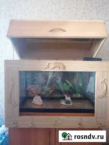 Морской аквариум Курган - изображение 1