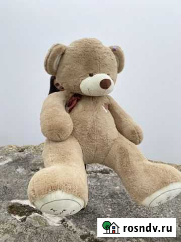 Плюшевый медведь Симферополь - изображение 1