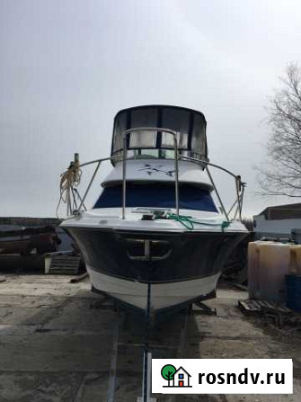 Bayliner288 Чердаклы - изображение 1