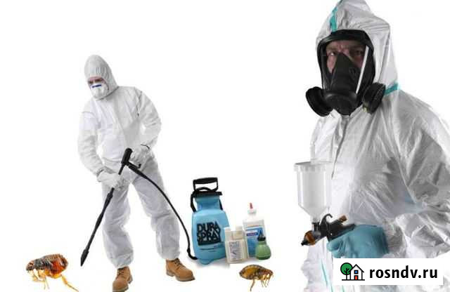 Служба по избавлению клопов и тараканов Вилючинск - изображение 1