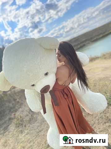 Плюшевый мишка Симферополь - изображение 1