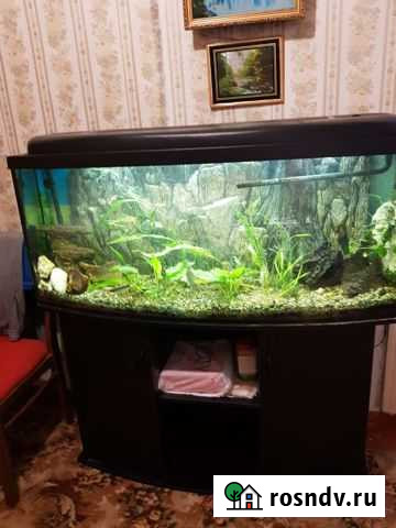 Аквариум с тумбой бу Севастополь - изображение 1